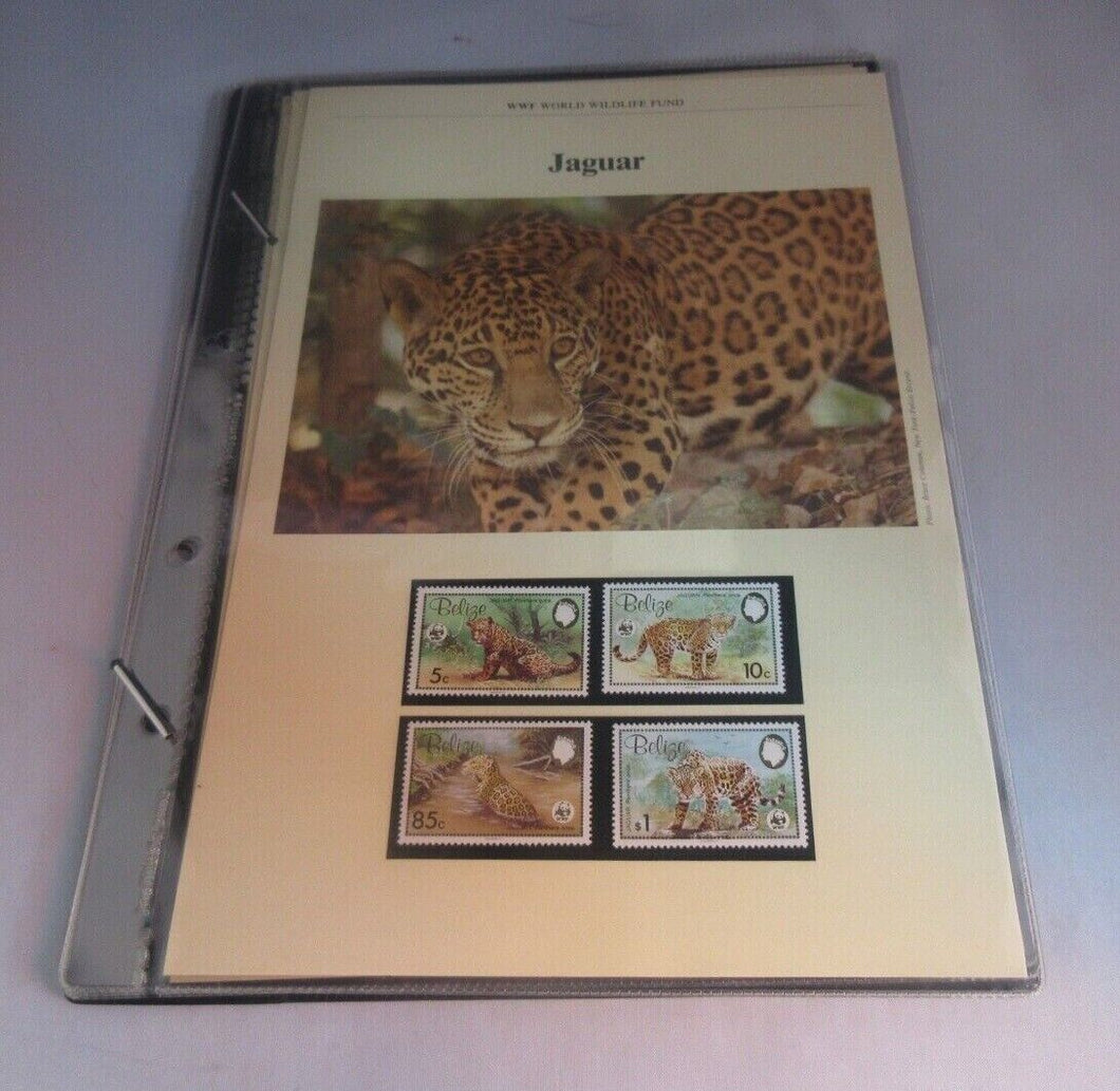 Jaguar WWF Info Sheets Exclusive Stamps from Belize and FDC's