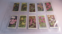 Load image into Gallery viewer, WILLS CIGARETTE CARDS WILD FLOWERS COMPLETE SET OF 50 IN CLEAR PLASTIC PAGES
