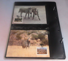 Load image into Gallery viewer, Mountain Zebra WWF Info Sheets Exclusive Stamps from Namibia and FDC&#39;s
