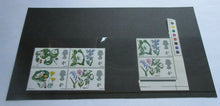 Load image into Gallery viewer, 1966 FLOWERS 4d 6 STAMPS MNH WITH TRAFFIC LIGHTS &amp; CLEAR FRONTED STAMP HOLDER
