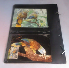 Load image into Gallery viewer, St. Vincent Parrot WWF Info Sheets Exclusive Stamps from St Vincent and FDC&#39;s
