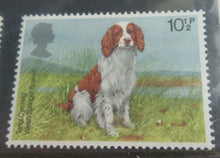 Load image into Gallery viewer, 1978 DOGS BRITISH POST OFFICE MINT STAMPS PRESENTATION PACK
