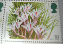 Load image into Gallery viewer, 1993 DENDROBIUM HELLWIGIANUM 18p BLOCK OF 4 STAMPS MNH
