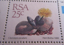 Load image into Gallery viewer, 1982-1992 RSA COLLECTION 16c, 21c,25c &amp; STANDARDISED MAIL STAMPS BLOCKS OF 4 MNH
