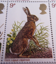 Load image into Gallery viewer, 1977 BRITISH WILDLIFE 9p 20 X STAMPS MNH WITH STAMP HOLDER
