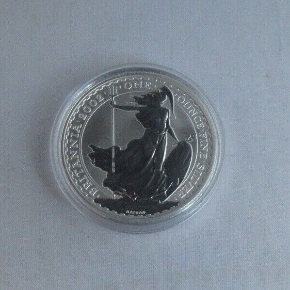 2002 Britannia Silver Reverse Frosted UK Royal Mint £2 Coin In Capsule