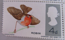 Load image into Gallery viewer, 1966 BIRDS 4d 15 X STAMPS MNH WITH CLEAR FRONTED STAMP HOLDER
