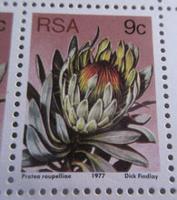 Load image into Gallery viewer, 1977 PROTEA ROUPELLIOE DICK FINDLAY RSA 9c BLOCK OF 6 STAMPS MNH
