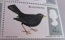 Load image into Gallery viewer, 1966 BIRDS 4d 15 X STAMPS MNH WITH CLEAR FRONTED STAMP HOLDER
