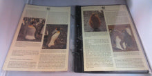 Load image into Gallery viewer, King Penguin WWF Info Sheets Exclusive Stamps from Falkland Islands and FDC&#39;s
