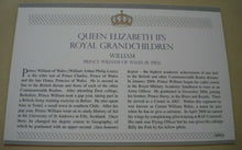 Load image into Gallery viewer, 2009 QE II&#39;S ROYAL GRANDCHILDREN - PRINCE WILLIAM STAMP COVER/ 4 MNH STAMPS/INFO
