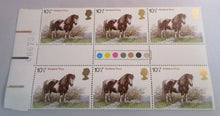 Load image into Gallery viewer, 1978 SHETLAND PONY 10 1/2p BLOCK OF 6 STAMPS MNH WITH TRAFFIC LIGHTS
