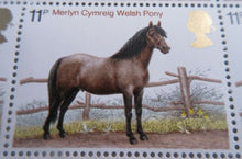 Load image into Gallery viewer, 1978 WELSH PONY 11p BLOCK OF 12 STAMPS MNH
