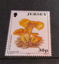 Load image into Gallery viewer, QUEEN ELIZABETH II FUNGI 3 X JERSEY DECIMAL STAMPS MNH IN STAMP HOLDER
