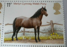 Load image into Gallery viewer, 1978 WELSH PONY 11p BLOCK OF 10 STAMPS MNH WITH TRAFFIC LIGHTS
