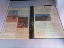 Load image into Gallery viewer, Reticulated Giraffe WWF Info Sheets Exclusive Stamps from Kenya and FDC&#39;s
