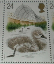 Load image into Gallery viewer, 1993 CYGNET AND DECOY 24p BLOCK OF 4 STAMPS MNH WITH TRAFFIC LIGHTS
