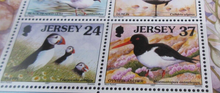 Load image into Gallery viewer, QEII JERSEY DEFINITIVES SEABIRDS AND WADERS MINISHEET &amp; STAMP HOLDER
