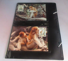 Load image into Gallery viewer, Proboscis Monkey WWF Info Sheets Exclusive Stamps from Brunei and FDC&#39;s
