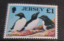 Load image into Gallery viewer, 1975 JERSEY SEA BIRDS SET OF 8 MINT NEVER HINGED WITH CLEAR FRONTED STAMP HOLDER
