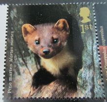 Load image into Gallery viewer, 2004 WOODLAND ANIMALS 1ST CLASS SET OF TEN STAMPS MNH PRESENTED IN STAMP HOLDER
