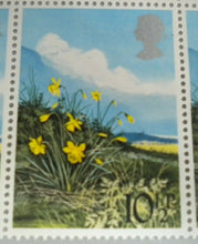 Load image into Gallery viewer, 1979 SPRING WILD FLOWERS DAFFODILS 10 1/2p BLOCK 10 STAMPS MNH &amp; TRAFFIC LIGHTS
