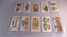 Load image into Gallery viewer, WILLS CIGARETTE CARDS GARDENING HINTS COMPLETE SET OF 50 IN CLEAR PLASTIC PAGES
