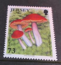 Load image into Gallery viewer, QUEEN ELIZABETH II FUNGI 4 X JERSEY DECIMAL STAMPS MNH IN STAMP HOLDER
