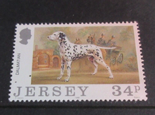 Load image into Gallery viewer, JERSEY DOGS DECIMAL STAMPS X 4 MNH IN STAMP HOLDER
