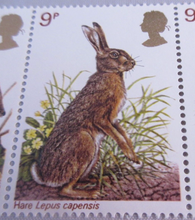 Load image into Gallery viewer, 1977 BRITISH WILDLIFE 9p 10 X STAMPS MNH WITH TRAFFIC LIGHTS &amp; STAMP HOLDER
